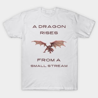 A dragon rises from a small stream T-Shirt